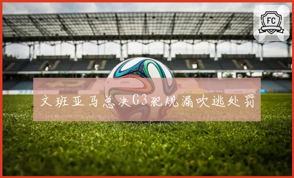 文班亚马总决G3犯规漏吹逃处罚