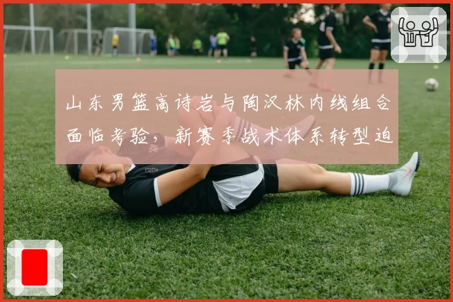 山东男篮高诗岩与陶汉林内线组合面临考验,新赛季战术体系转型迫在眉睫