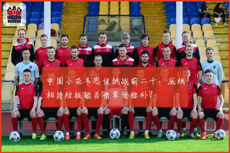 中国小花韦思佳挑战前二十，底线相持短板能否借草场弥补？