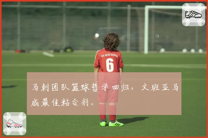 马刺团队篮球哲学回归,文班亚马成最佳粘合剂。