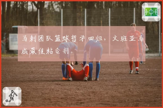 马刺团队篮球哲学回归,文班亚马成最佳粘合剂。